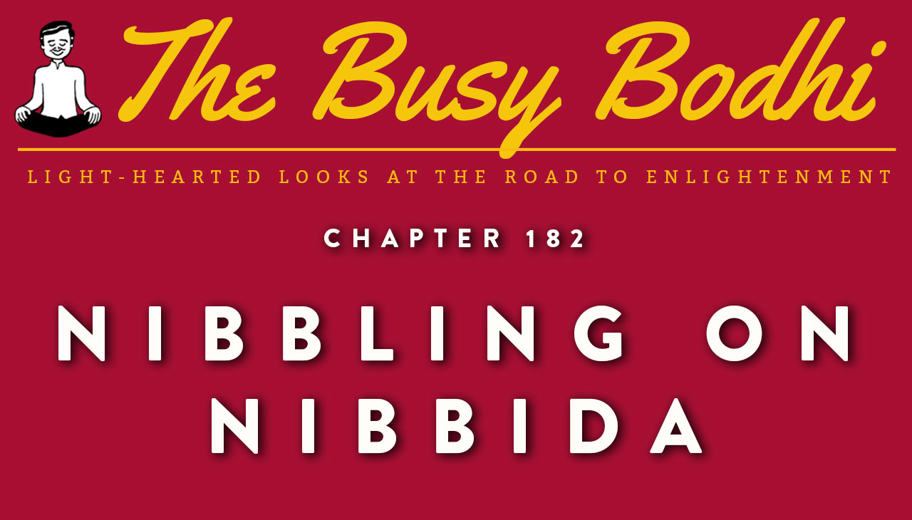 Busy Bodhi: Nibbling on Nibbida