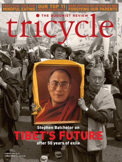 Tricycle: Buddha in the Googleplex